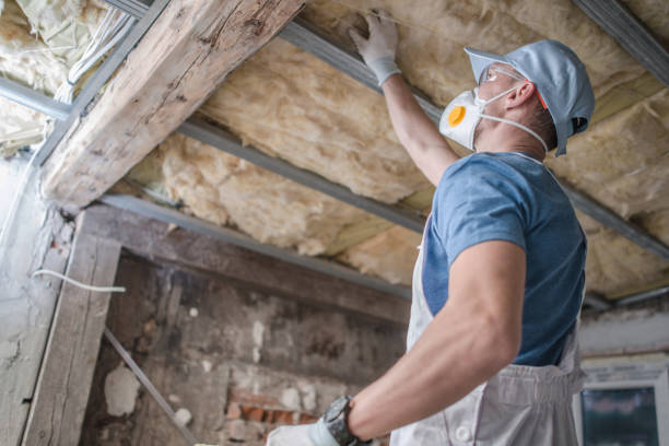 Best Commercial Insulation Services  in Bayonet Point, FL