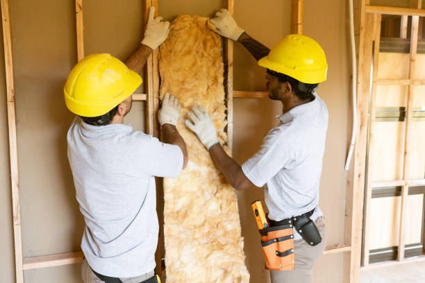 Best Insulation for New Construction  in Bayonet Point, FL