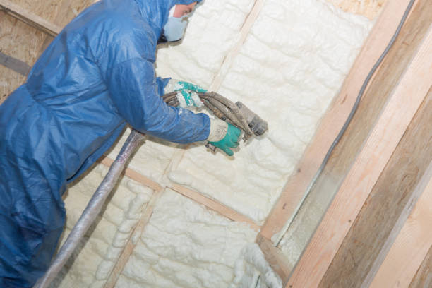 Best Wall Insulation Installation  in Bayonet Point, FL